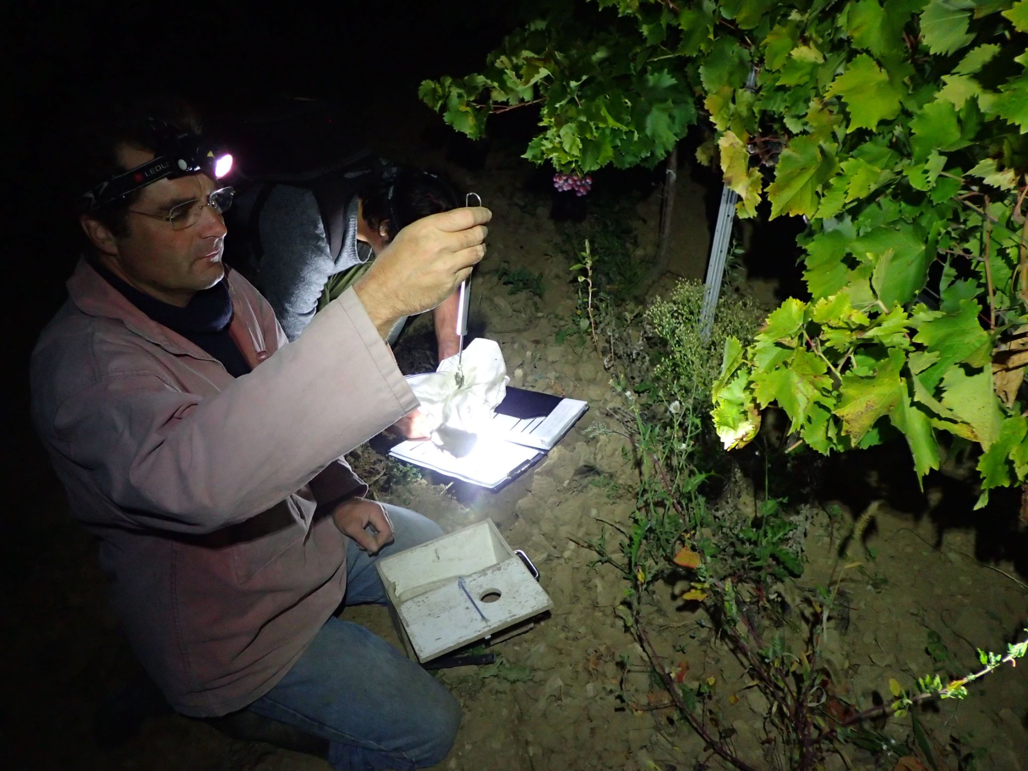 Julien Baudat Franceschi in the field © PNRL Jerome Brichard